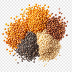 Assorted Lentils: A Colorful Collection of  Legumes