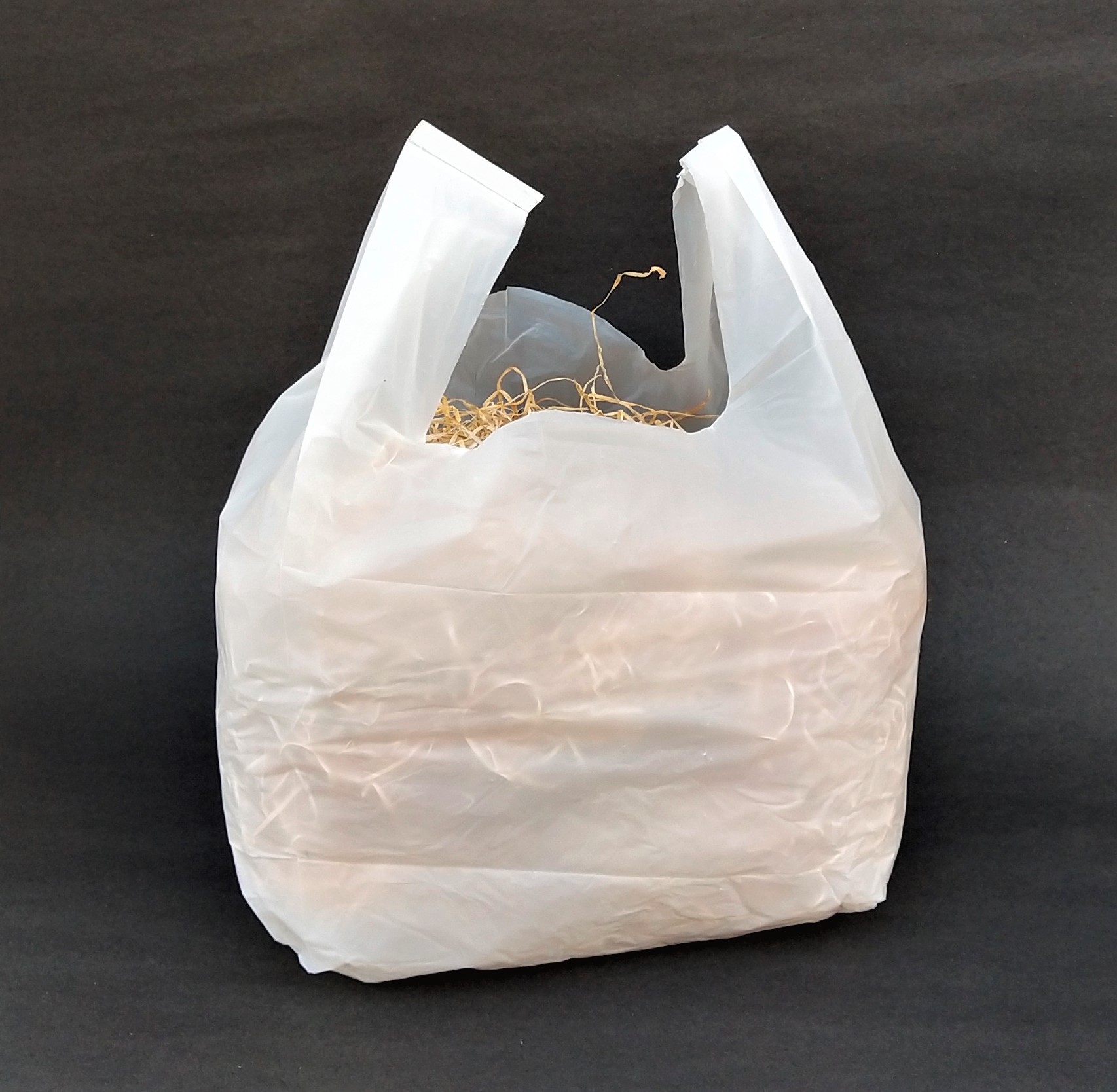 13x16 inches Compostable carry bag (Medium) - Image 2