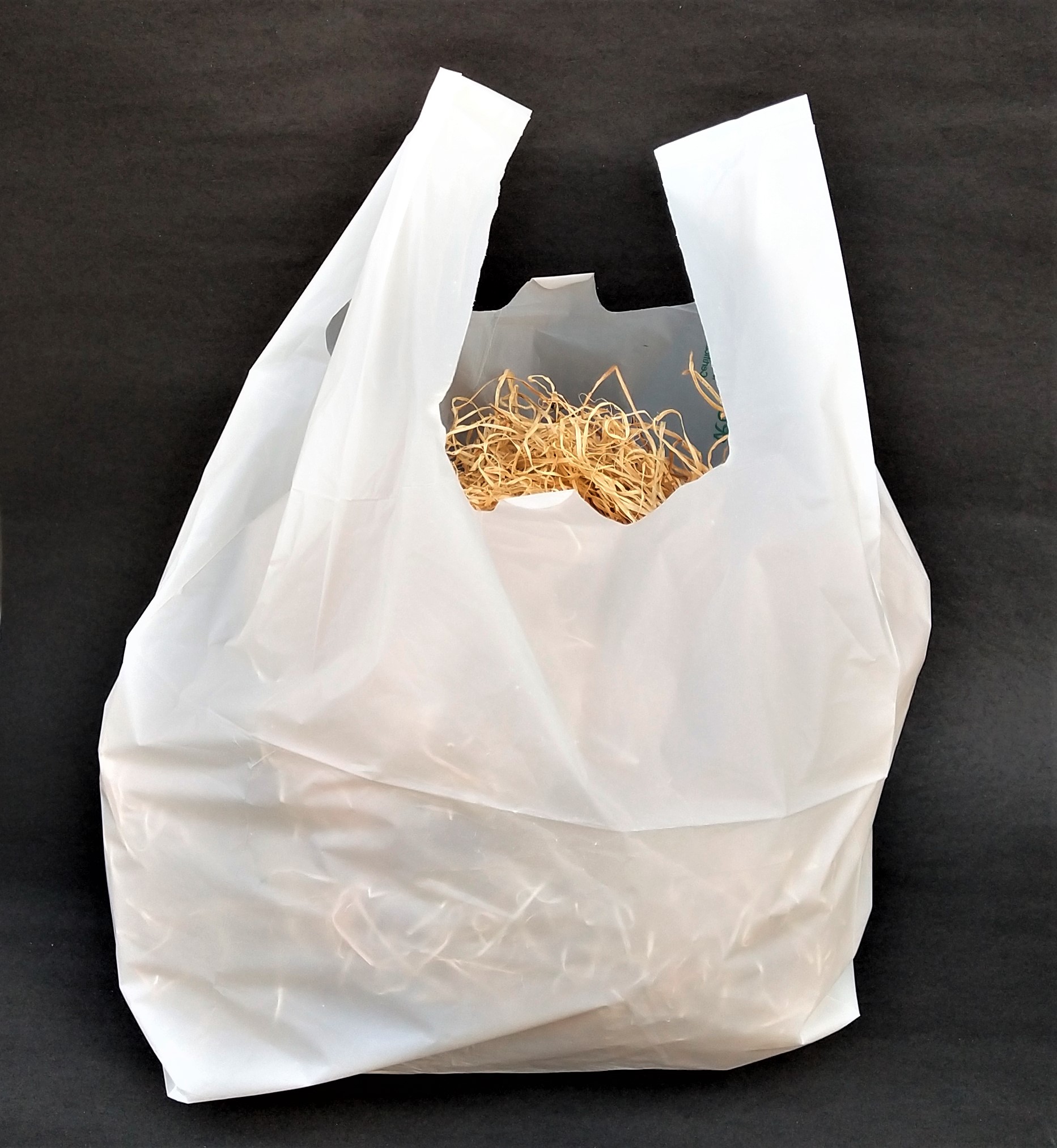 16x20 inches Compostable carry bag (Large) - Image 2