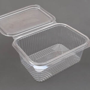 1000ml Clear PET Hinged Box