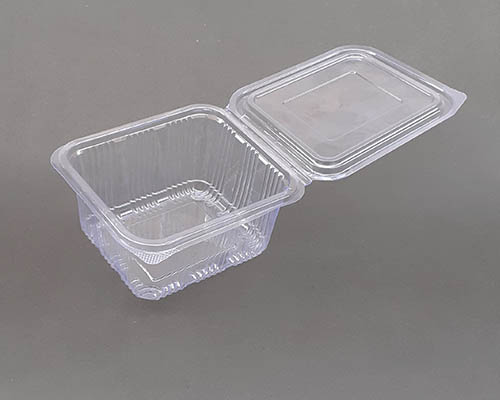 500ml Clear PET Hinged Deli Box