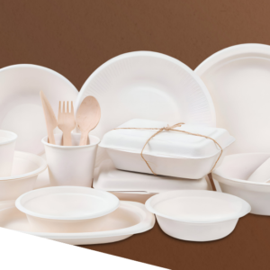 BIODEGRADABLE PRODUCTS